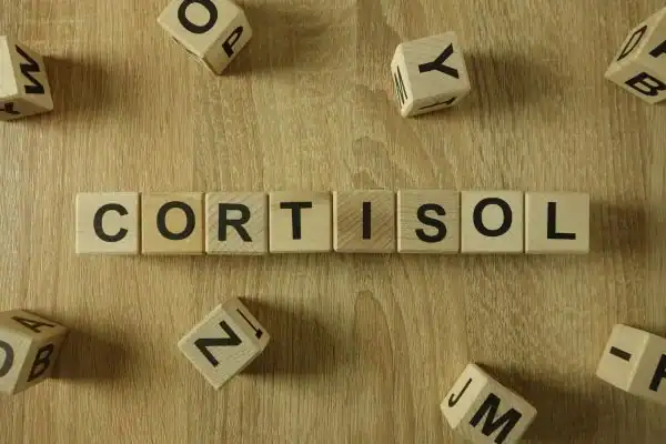 The Hidden Connection: How Stress Shapes Your Fitness and Body Composition 2 Image saying "Cortisol" and how stress Hastings impacts your wellbeing and bodies shape